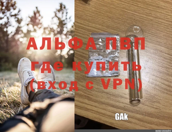прущие крисы Губаха