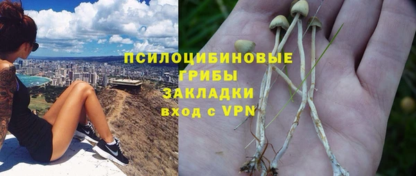 мдпв Абаза